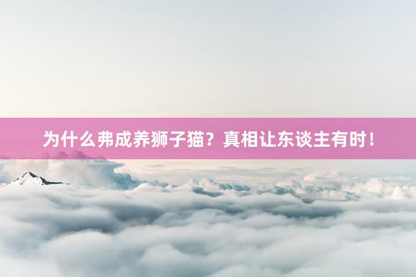 为什么弗成养狮子猫？真相让东谈主有时！