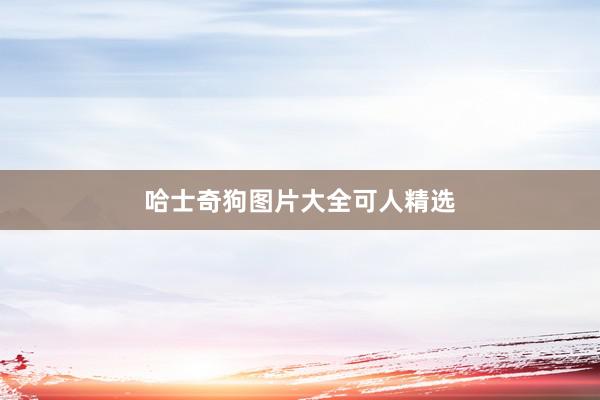 哈士奇狗图片大全可人精选